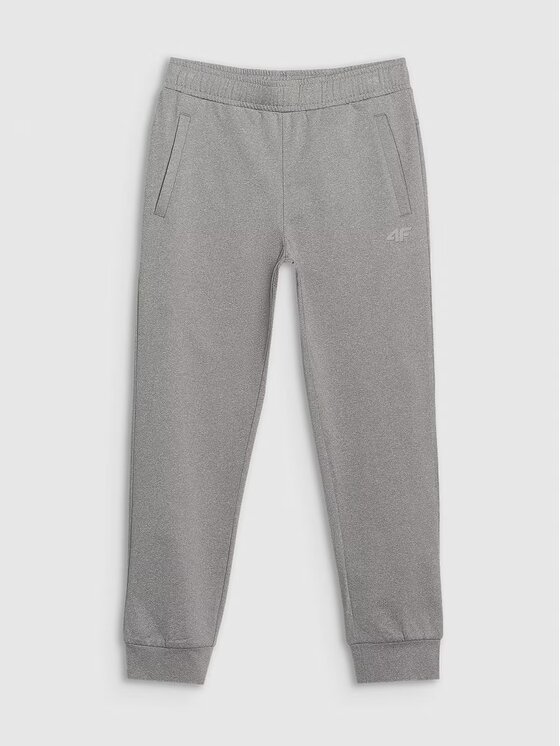 4F 4F Spodnie dresowe 4FJWSS25TFTRM0877-27M Szary Regular Fit