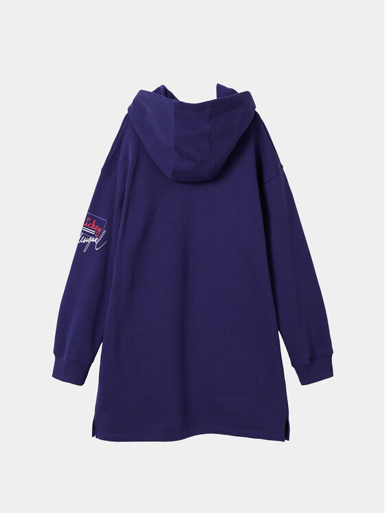 Desigual Desigual Ежедневна рокля 23WGVK07 Син Regular Fit