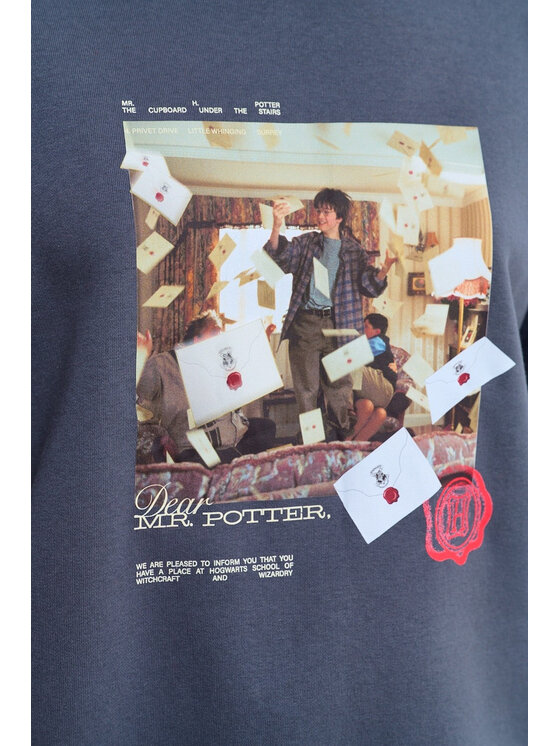 NAOKO NAOKO Bluza Dear Potter Szary Reglan Fit