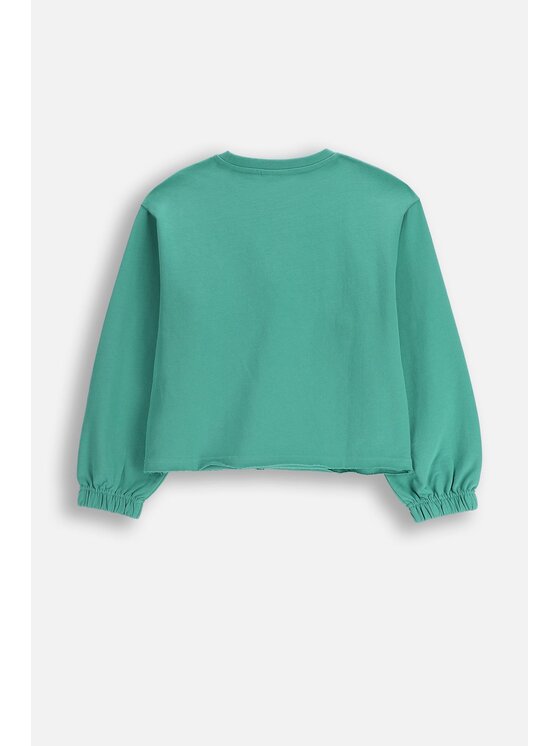 Coccodrillo Coccodrillo Bluza ZC5132101RGJ-011 Zielony Regular Fit