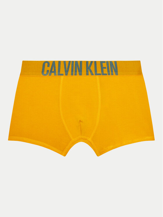 Calvin Klein Underwear Calvin Klein Underwear Σετ μποξεράκια 2 τμχ. B70B700488 Έγχρωμο