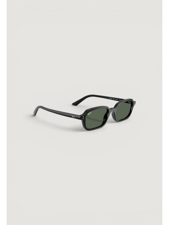 Ray-Ban Ray-Ban Γυαλιά ηλίου 0RB4455 667771 Μαύρο