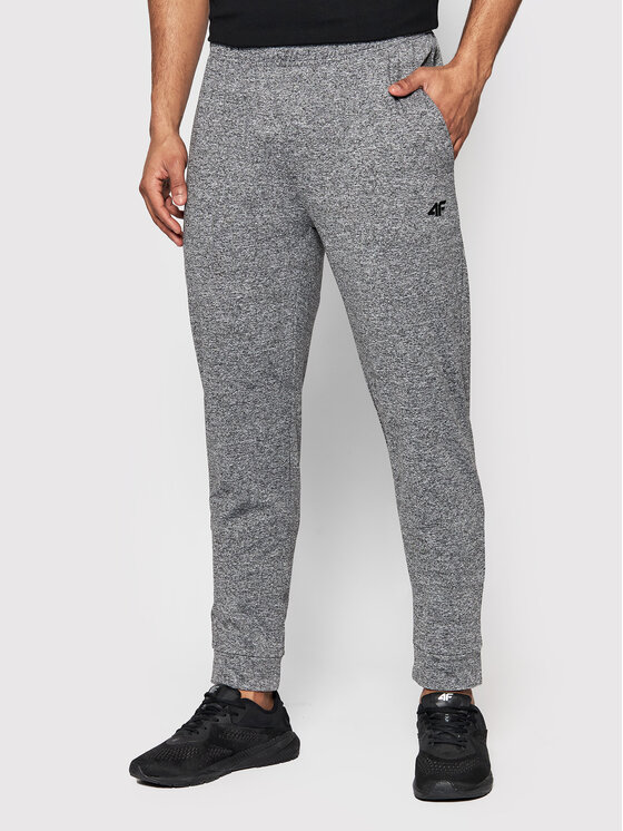 4F 4F Спортивні штани H4L22-SPMTR350 Сірий Regular Fit