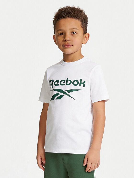 Reebok Reebok Set majica i hlače Blake RK95033CCB Šarena Regular Fit