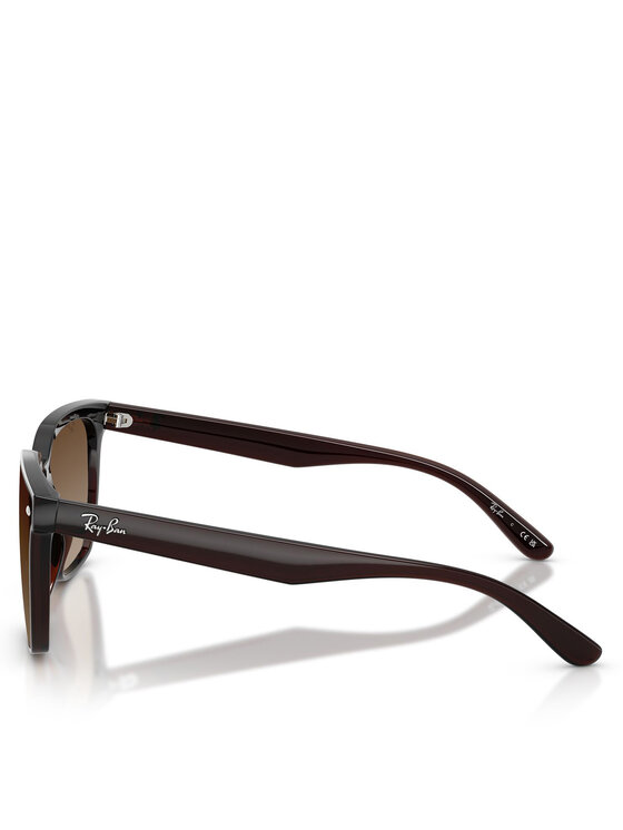 Ray-Ban Ray-Ban Sluneční brýle 0RB4466D Hnědá