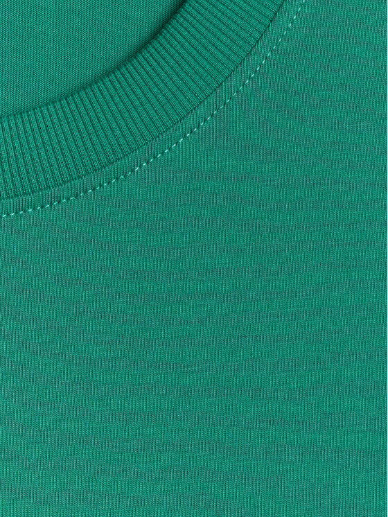 4F 4F T-Shirt SPORTS CLUB Zielony Regular Fit