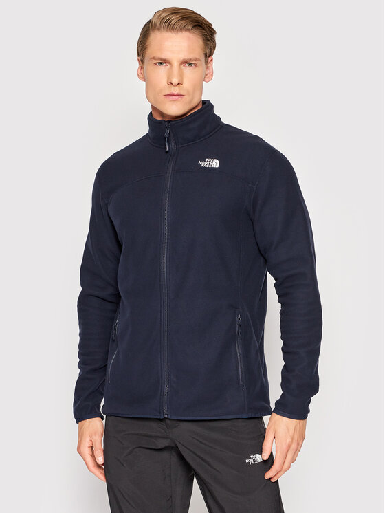 north face fleece glacier 100