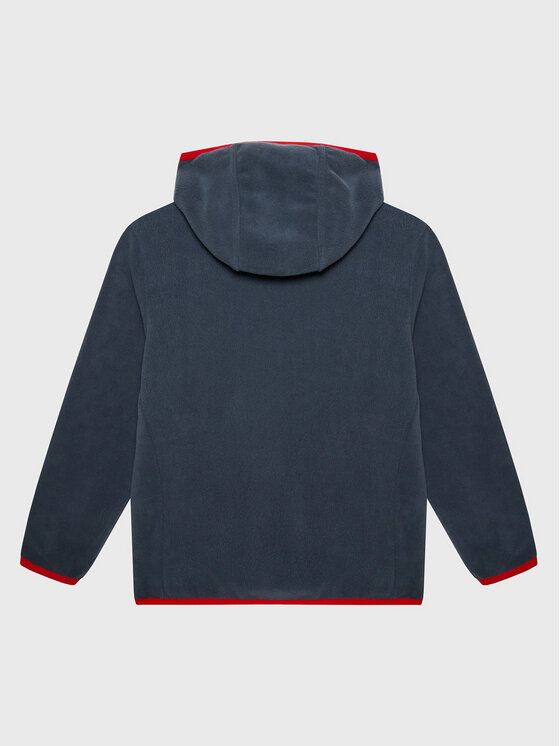 CMP CMP Флісовий реглан 32H1384 Сірий Regular Fit