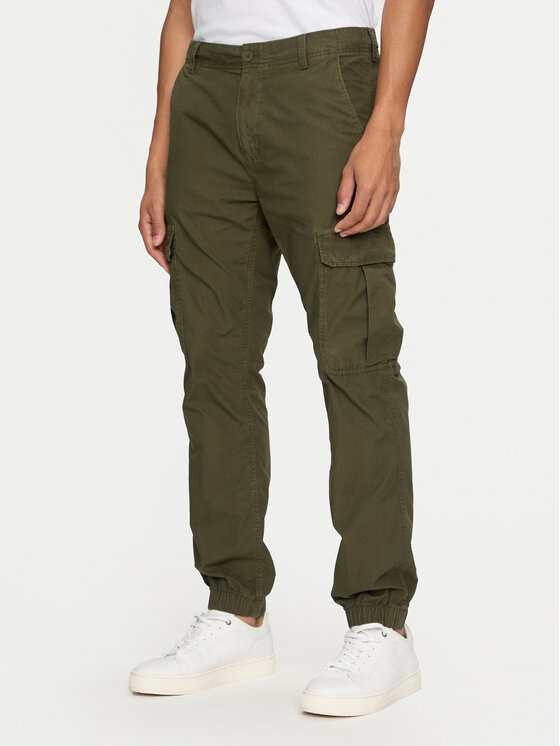 Tommy Jeans Jogger Ethan DM0DM19490 Zelena Regular Fit