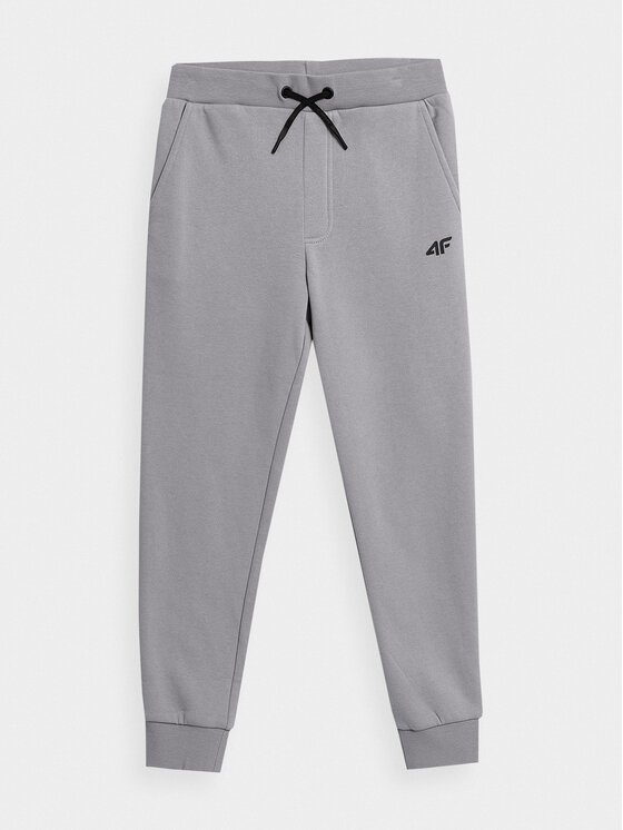 4F Pantaloni trening 4FJAW23TTROM411 Gri Regular Fit