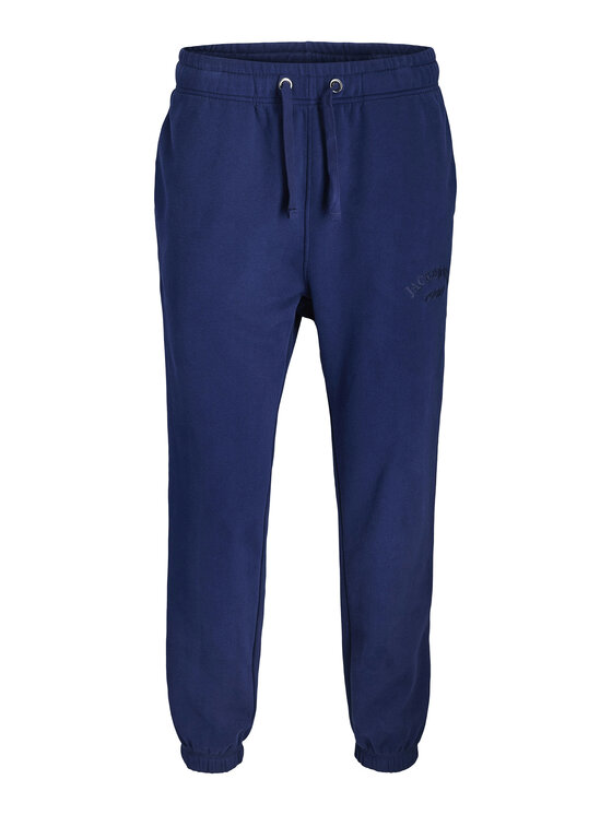 Jack & Jones Jack & Jones Teplákové nohavice Kane Bleecker 12287165 Modrá Relaxed Fit