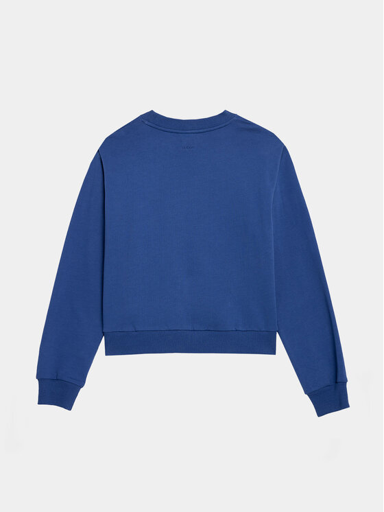 Outhorn Outhorn Bluză OTHAW23TSWSF668 Albastru Regular Fit