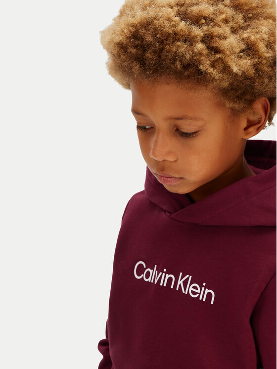 Calvin Klein Jeans Calvin Klein Jeans Mikina IU0IU00679 Fialová Regular Fit