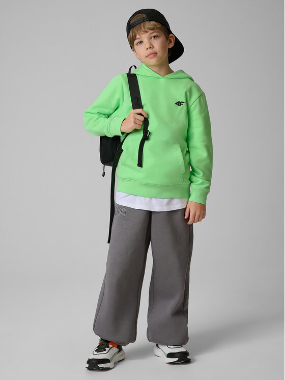 4F 4F Bluza STREET SPORT Zielony Regular Fit