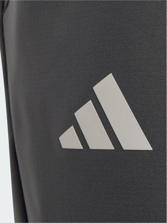 adidas adidas Spodnie outdoor 165105 Szary Loose Fit