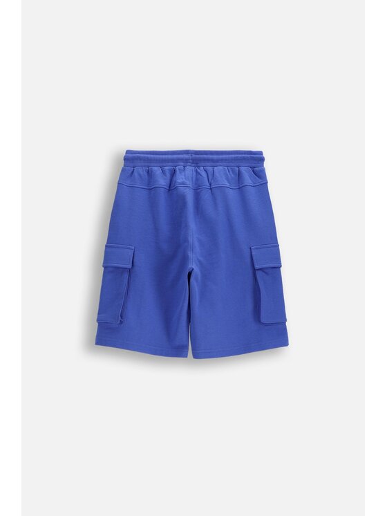 Coccodrillo Coccodrillo Šortky z materiálu WC6120502HBJ-014 Modrá Regular Fit