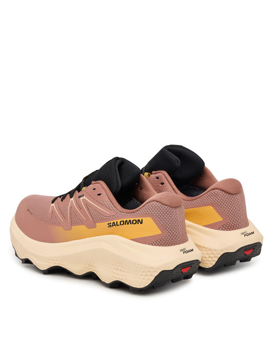 Salomon Salomon Pantofi pentru alergare Ultra Flow 2 Gtx L47884500 Roz