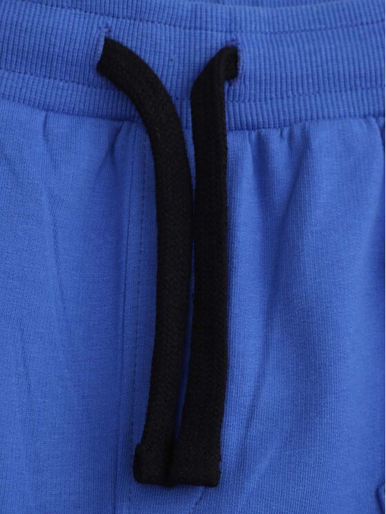 Coccodrillo Coccodrillo Pantaloni scurți sport WC5120501IBJ Albastru Regular Fit