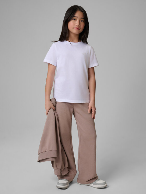 4F 4F T-Shirt BASIC+ Kolorowy Regular Fit