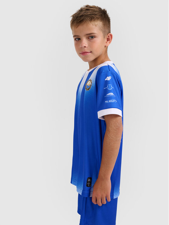 4F 4F Koszulka techniczna TEAMWEAR Kolorowy Regular Fit
