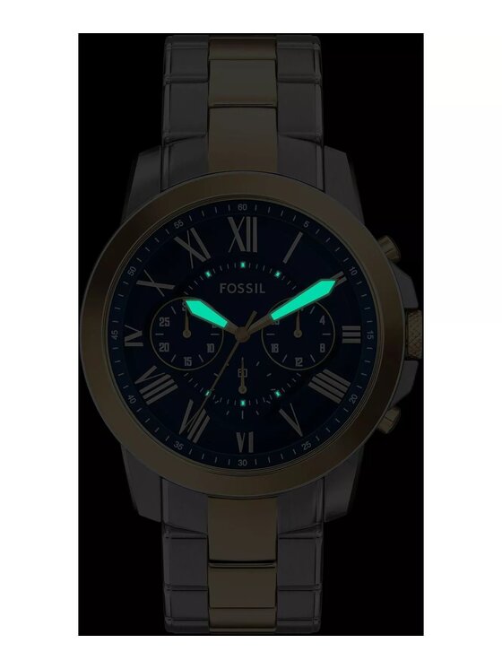 Fossil Fossil Hodinky FS6132 Strieborná