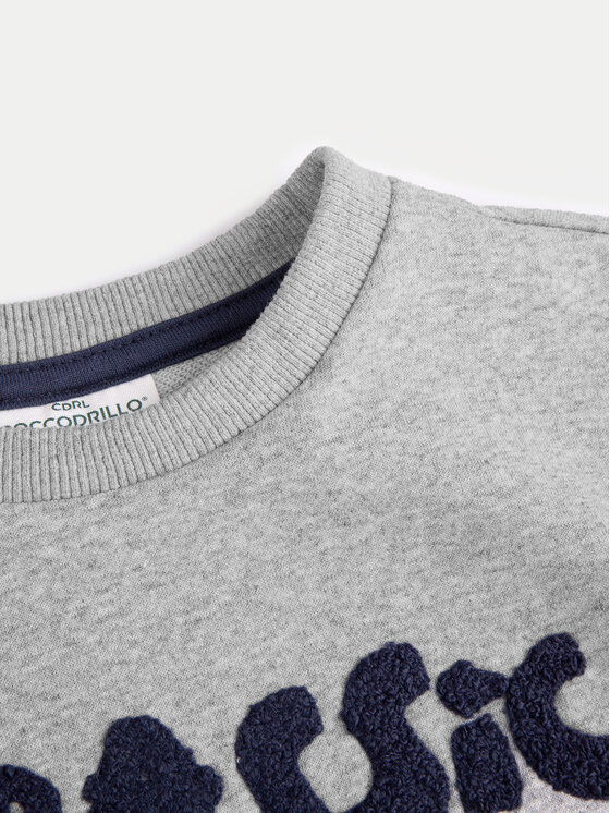 Coccodrillo Coccodrillo Світшот ZC4132101DBK Сірий Regular Fit