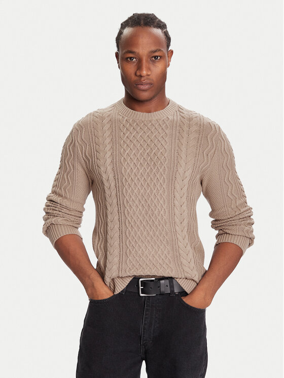 Tommy Jeans Tommy Jeans Pullover DM0DM22101 Braun Regular Fit