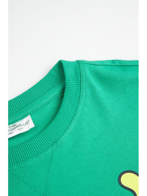 Coccodrillo Coccodrillo T-Shirt ZC6143205ABJ-011 Zielony Regular Fit