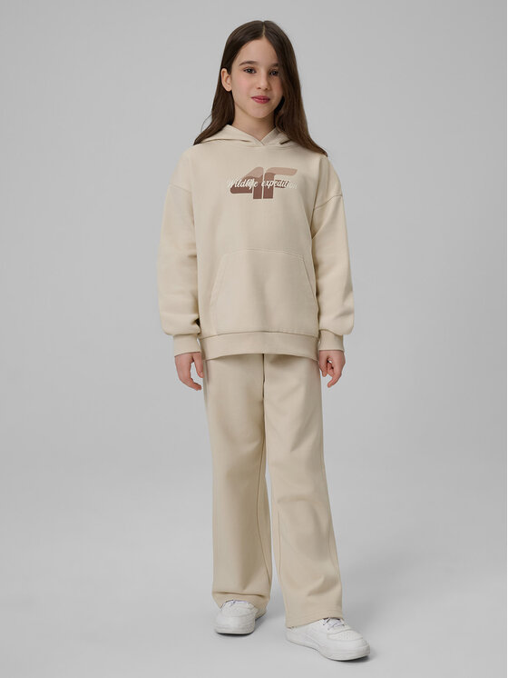 4F 4F Spodnie dresowe WILD WANDERLUST Beżowy Loose Fit