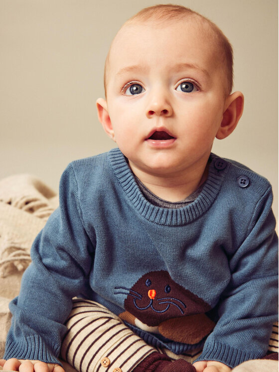 NAME IT NAME IT Džemper 13209866 Plava Regular Fit