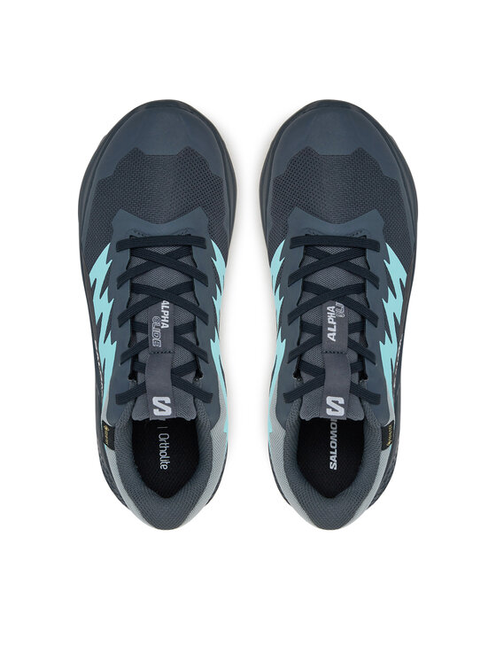 Salomon Salomon Pantofi pentru alergare Alphaglide Gore-Tex L47802500 Gri
