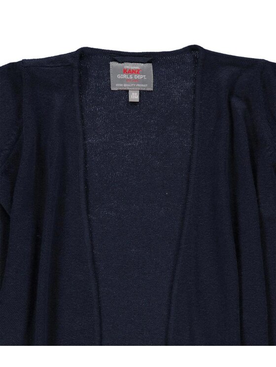 Kanz Kanz Sweter 1836837-3800 Niebieski Basic Fit