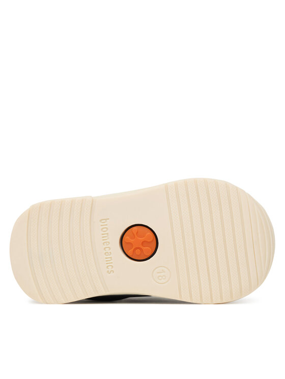Biomecanics Biomecanics Tossud 251123 Must