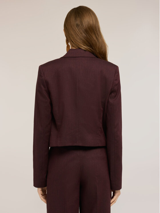 Motivi Motivi Giacca di transizione Q061Q001078N036 Bordeaux Regular Fit