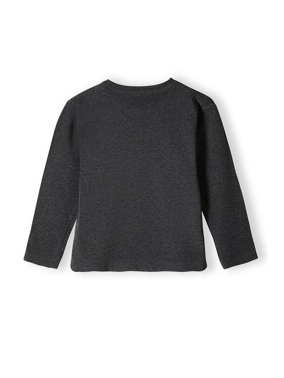 minoti minoti Longsleeve 16tee 30 Szary Regular Fit