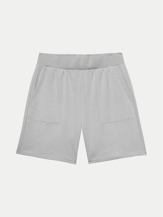 4F 4F Спортни шорти 4FWSS24TSHOM330 Сив Regular Fit