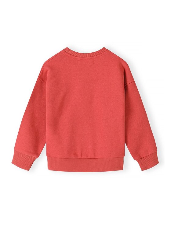 minoti minoti Bluza 33FLEECE201 Kolorowy Regular Fit