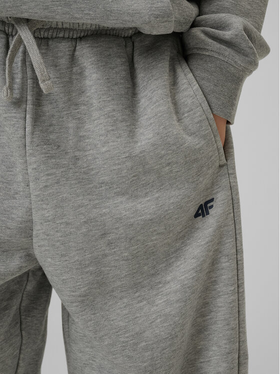4F 4F Spodnie dresowe CAMPUS VIBES Szary jasny Loose Fit