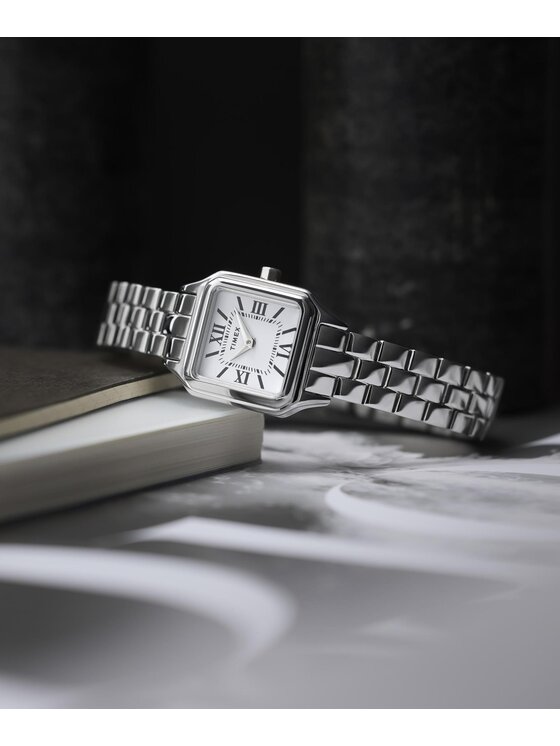 Timex Timex Hodinky TW2Y23800 Stříbrná