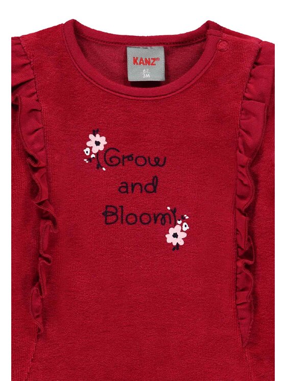 Kanz Kanz Bluza 2122323-2120 Czerwony Basic Fit