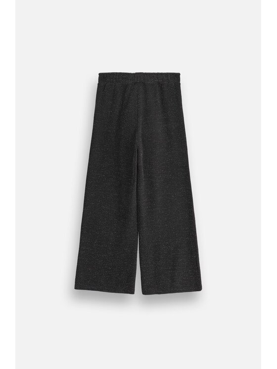 Coccodrillo Coccodrillo Spodnie materiałowe ZC6121101EPG-021 Czarny Regular Fit