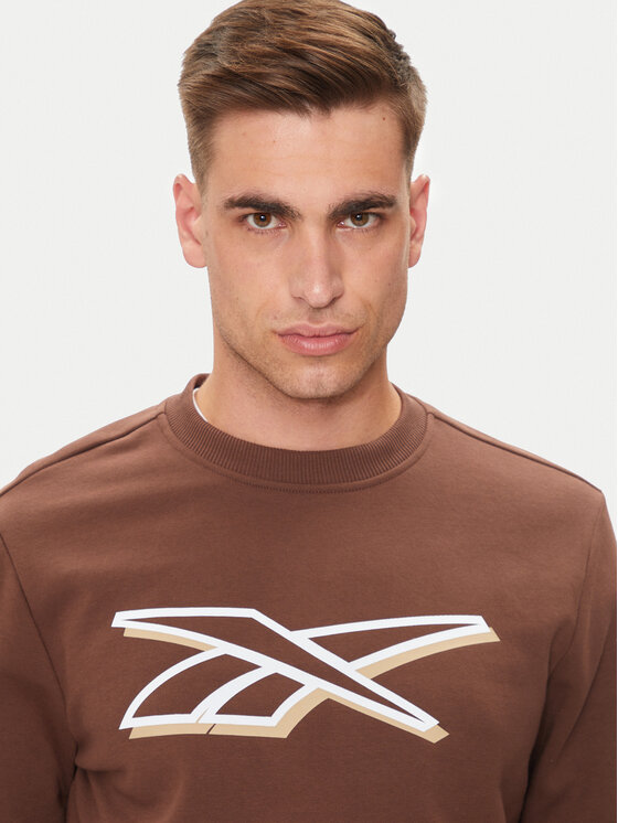 Reebok Reebok Felpa Vector Logo 100202412 Marrone Regular Fit