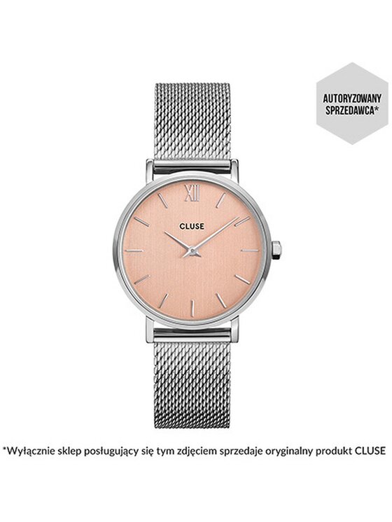 Cluse Cluse Hodinky CW0101203029 Stříbrná