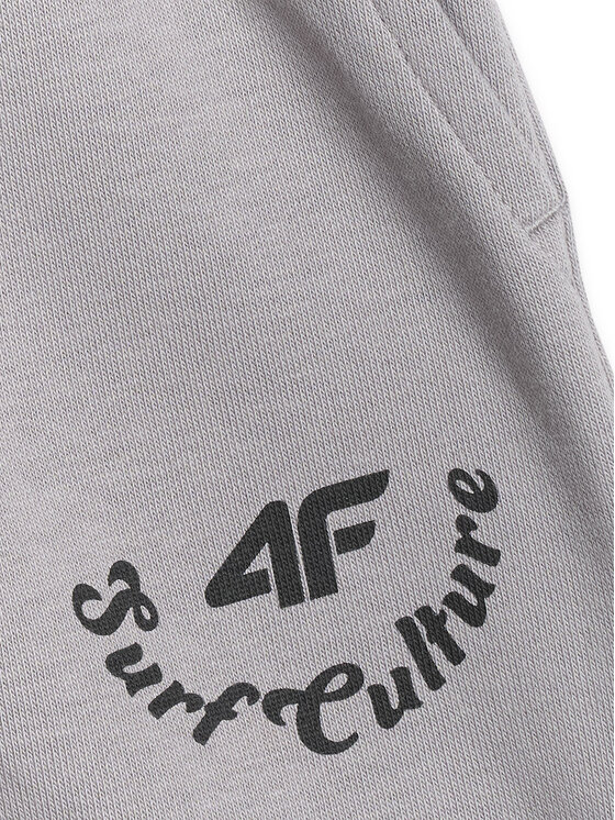 4F 4F Szorty sportowe SKATE & RIDE Szary jasny Regular Fit