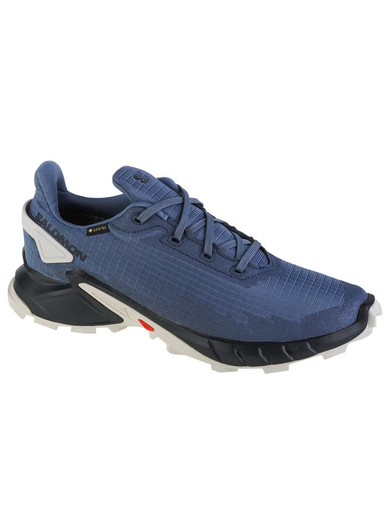 Salomon, Rozmiar 46, Szary, Salomon Alphacross 4 GTX
