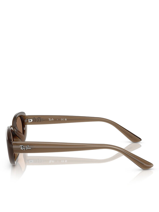 Ray-Ban Ray-Ban Sončna očala 0RB4441D 53 677973 Rjava