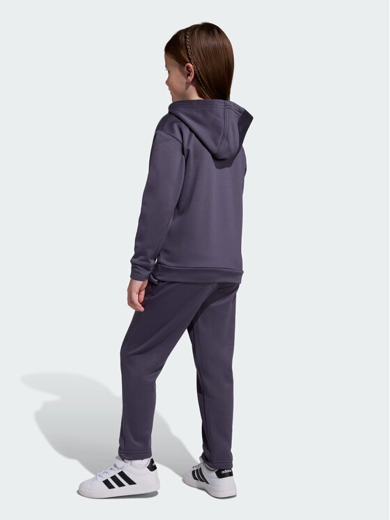 adidas adidas Komplet dziecięcy 158796 Szary Regular Fit