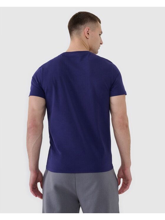 4F 4F T-Shirt 4FWMM00TTSHM2256-31S Niebieski Regular Fit