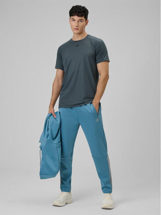 4F 4F Spodnie dresowe VICTORY PACK Regular Fit