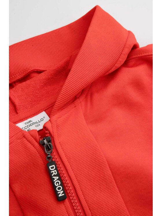 Coccodrillo Coccodrillo Mikina WC5132402DBJ-009 Červená Regular Fit